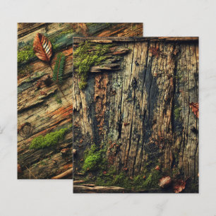 Papier à grungy Autumnal Worldwide Wood et Moss