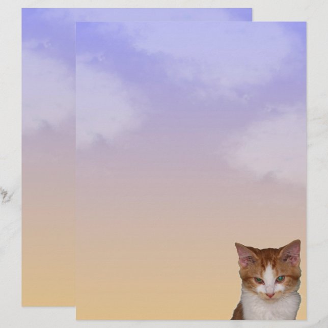 Papier à lettres de l'amplitude de la chatte de Re (Devant / Derrière)