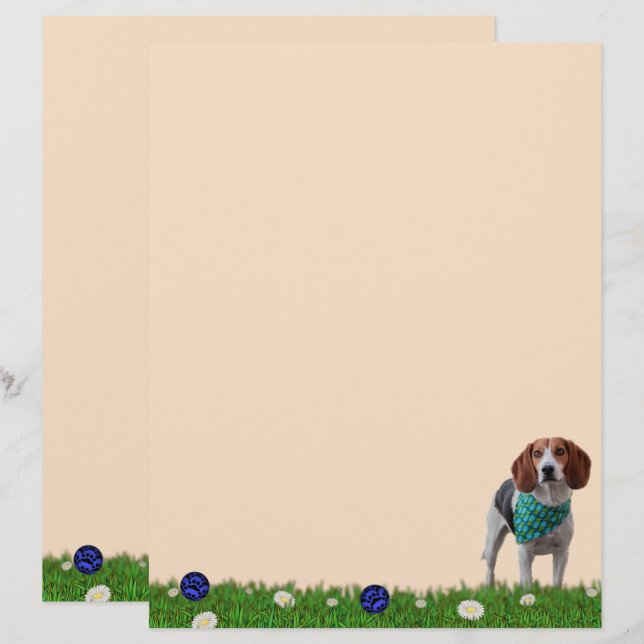 Papier à lettres Foxhound (Devant / Derrière)