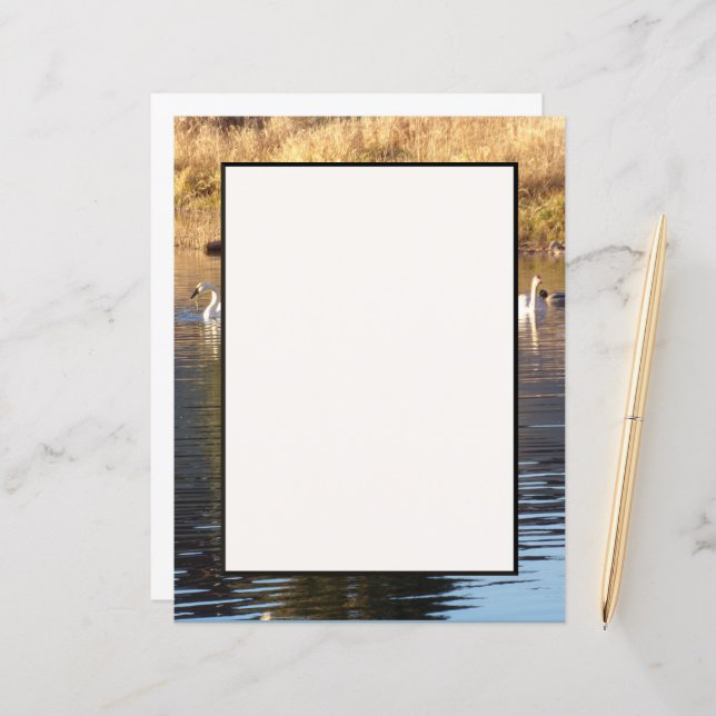 Papier à lettres Swans n Canards (Devant/Arrière en situation)