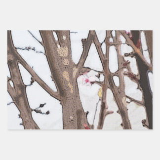 Papier à papier d'enrobage à fleurs de printemps J