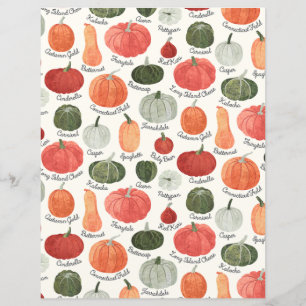 Papier à rebut de types de Citrouille illustrés
