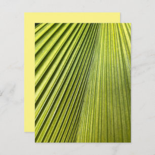 Papier à rebut vert Fan Palm Frond