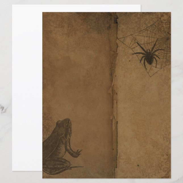 Papier à scandale pour la grenouille gothique de l (Devant / Derrière)