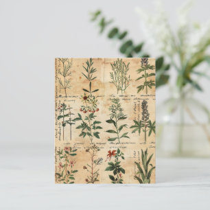 Papier à scandale vintage à base de plantes végéta