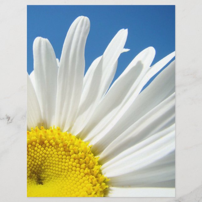 Papier à thème scrapbook Fleurs de marguerite blan (Devant)