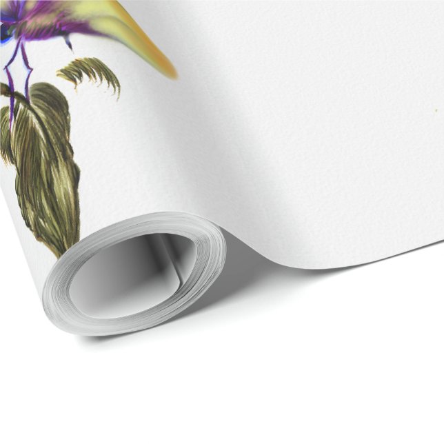 Papier cadeau (Coin rond)