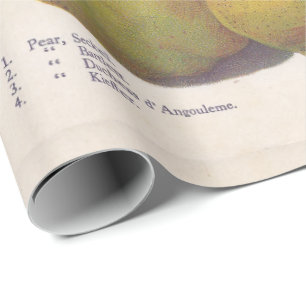 Papier Cadeau 5 poires vintages illustrées