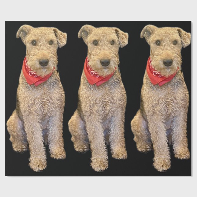 Papier Cadeau Acorn Wrapping Paper - Black (Plat)