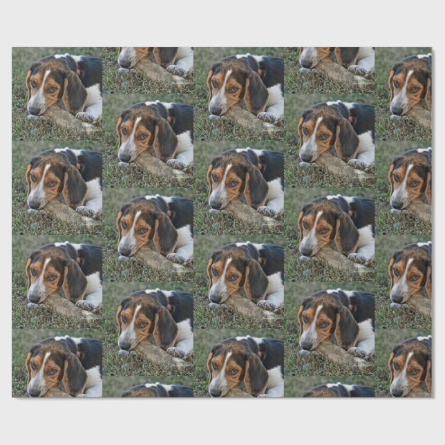 Papier Cadeau Adorable Beagle mâchant un os (Plat)