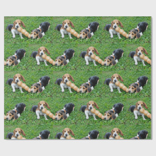 Papier Cadeau Adorable Chiots Beagles Tug De Guerre