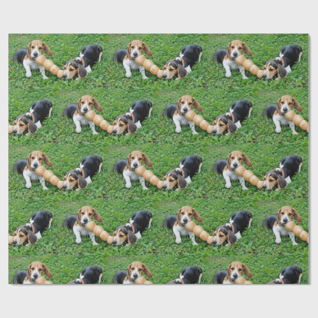 Papier Cadeau Adorable Chiots Beagles Tug De Guerre (Plat)