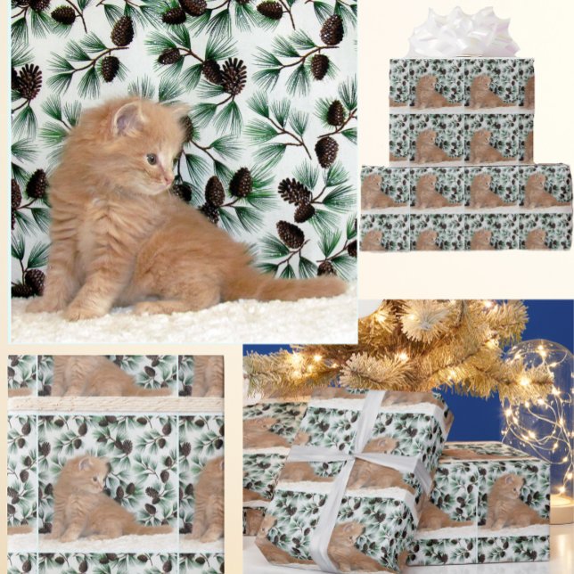 Papier Cadeau Adorable Ginger Kitten - Noël de chat (Créateur téléchargé)
