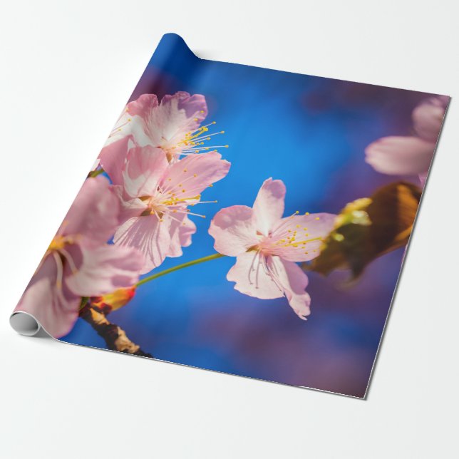 Papier Cadeau Adorable Sakura Blossoms (Déroulé)