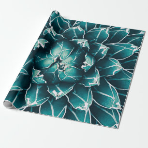 Papier Cadeau agave cactus, abstraite nature arrière - plan, vu