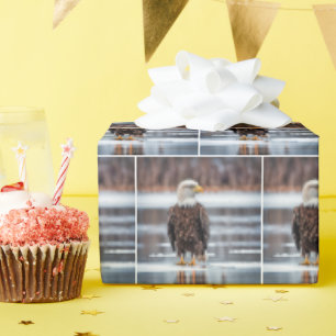 Papier Cadeau Aigle Balle Sur La Glace Du Lac