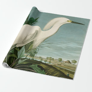 Papier Cadeau Aigrette neigeuse d'Audubon oiseau Héron blanc orn