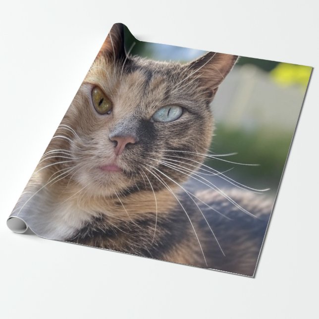 Papier Cadeau Ajouter une photo de chat Personnaliser (Déroulé)