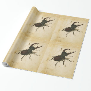 Papier Cadeau Albrecht Durer Stag Beetle Renaissance Art Vintage