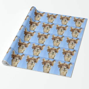 Papier Cadeau Alpaga avec les cheveux fous