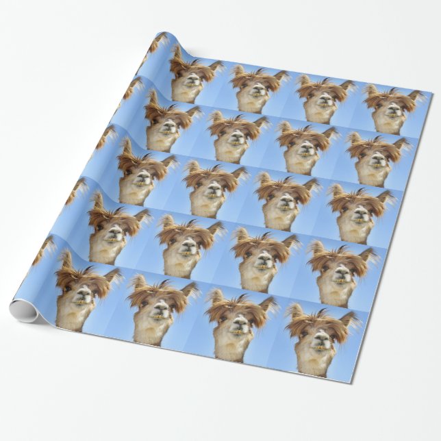 Papier Cadeau Alpaga avec les cheveux fous (Déroulé)