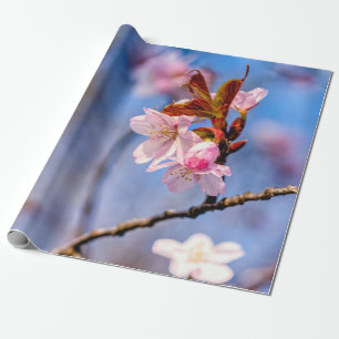 Papier Cadeau Ambiance Des Fleurs De Sakura Frais