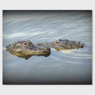 Papier Cadeau Amour d'alligator