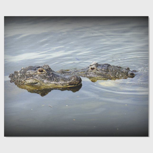 Papier Cadeau Amour d'alligator (Plat)