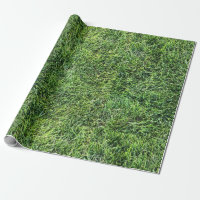 Amusante herbe verte vraie texture photo motif pla