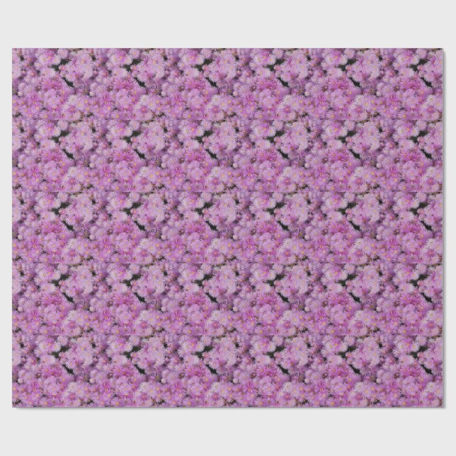 PAPIER CADEAU AMUSER (Plat)