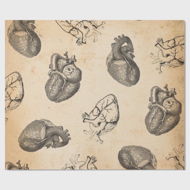 Papier Cadeau Anatomie Vintage  (Plat)