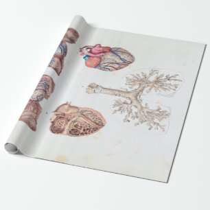 Papier Cadeau Anatomie vintage de coeur et de poumons humains