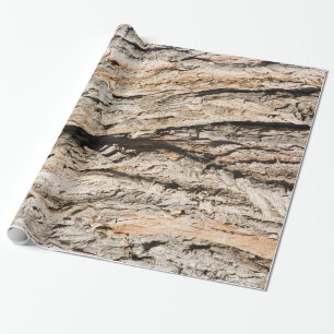Papier Cadeau Ancien motif de tronc