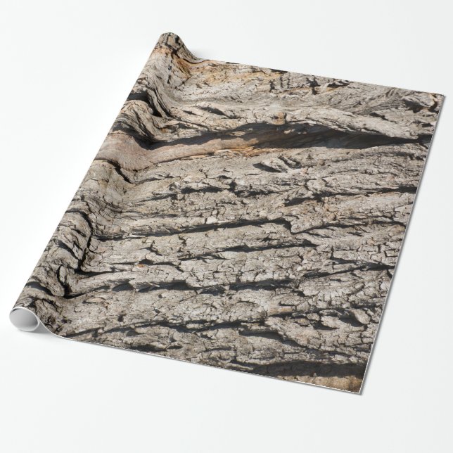 Papier Cadeau Ancien motif de tronc (Déroulé)