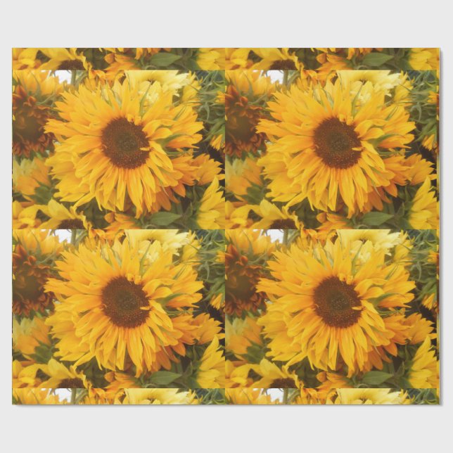 Papier Cadeau Andriola (Plat)