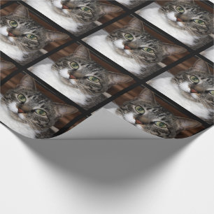 Papier Cadeau Animal Tabby Chat Visage animal Photo