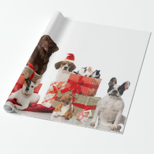 Papier Cadeau Animaux de compagnie dans le chapeau du Père Noë