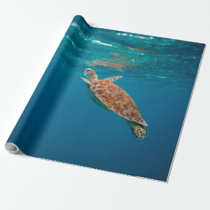 Papier Cadeau Animaux marins cool