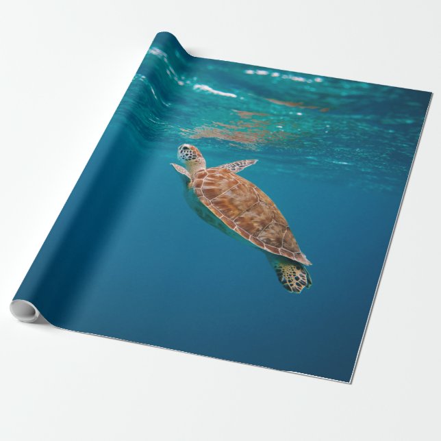 Papier Cadeau Animaux marins cool (Déroulé)