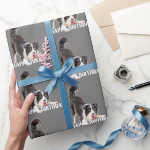 Papier Cadeau Anniversaire Frontière Collie sur Grey