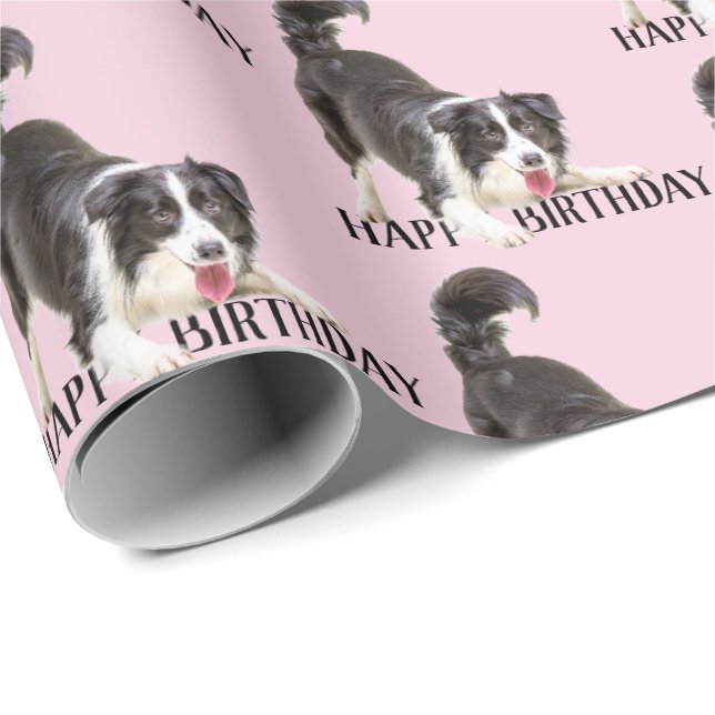 Papier Cadeau Anniversaire Frontière Collie sur rose (Coin rond)