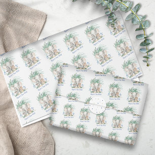 Papier Cadeau Anniversaire Safari Wild One