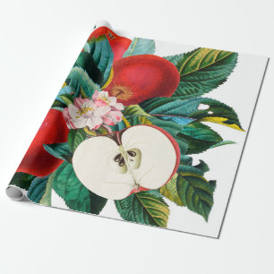 Papier Cadeau Antique arrangement botanique de fruits de pomme,