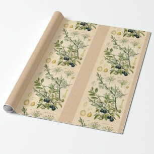Papier Cadeau Antique Blackthorn Botanique Imprimé Fleur Berry