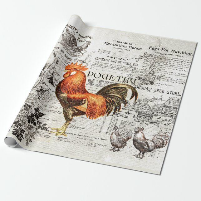 Papier Cadeau Antique Rooster Horticulture Annonces Ephemera (Déroulé)