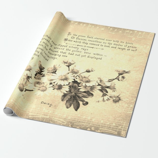 Papier Cadeau Antique Vintage Sepia Daisy Poésie de Fleurs (Déroulé)