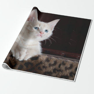 Papier Cadeau apparence du chat