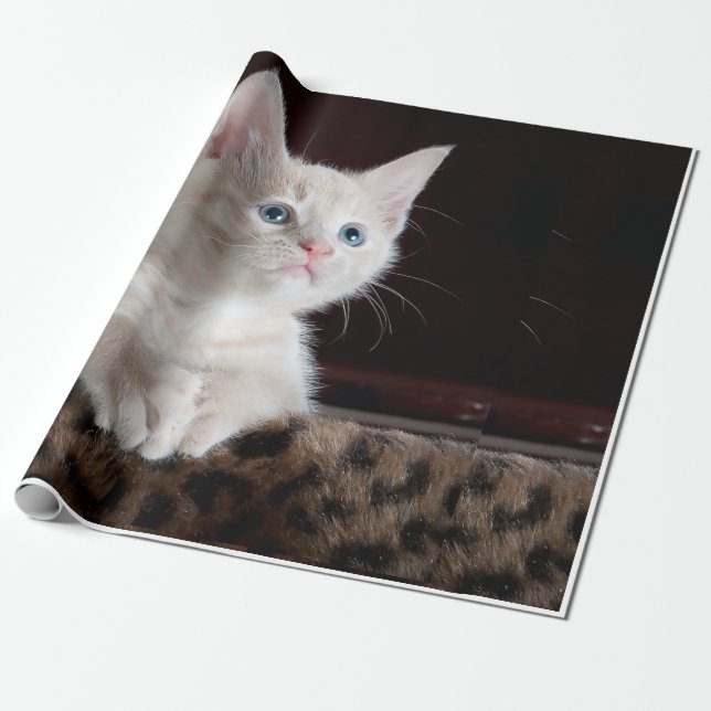 Papier Cadeau apparence du chat (Déroulé)