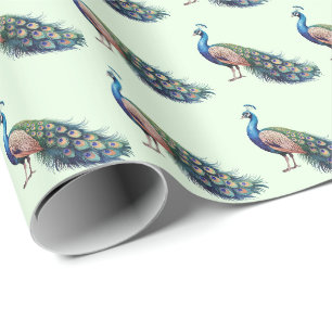 Papier Cadeau Aquarelle moderne tendance Peacock Motif