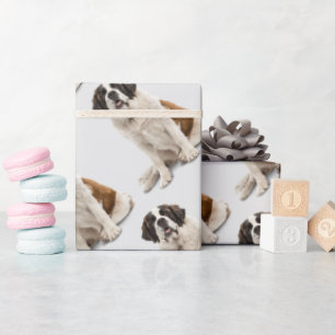 Papier Cadeau Aquarelle Saint Bernard Chien Animaux Animaux Amus